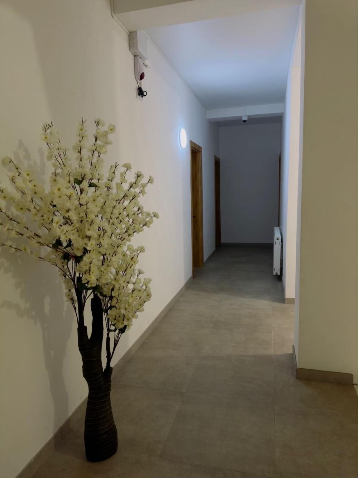 Chalet Kazbegi Hotel Ngoại thất bức ảnh